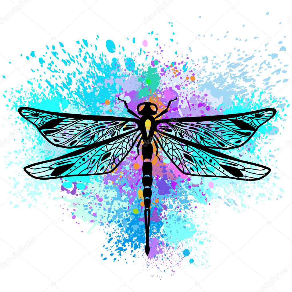 Dragonfly on colorful background