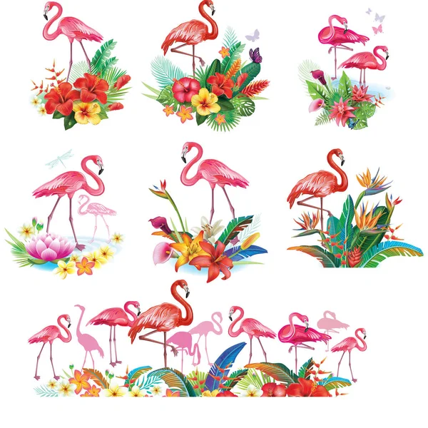 Tropik Çiçekler Yapraklar Flamingolar Düzenleme — Stok Vektör
