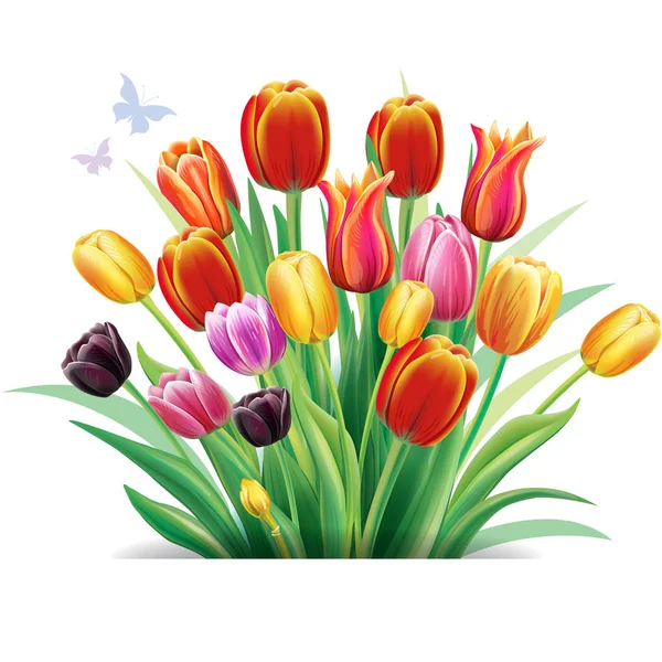 Аранжування Різнокольоровими Тюльпанами Квіти — стоковий вектор