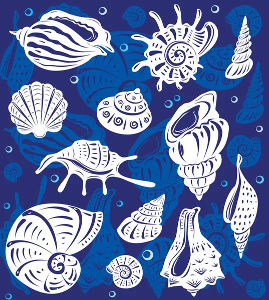 Ensemble de coquilles décoratives — Image vectorielle