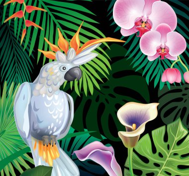 Tropikal orman bitkiler ile arka plan