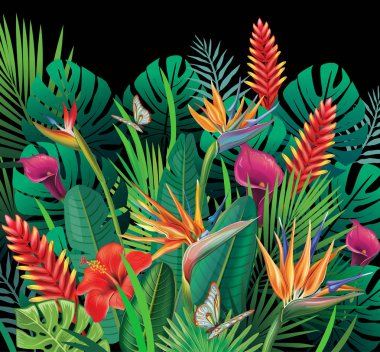 Tropikal orman bitkiler ile arka plan