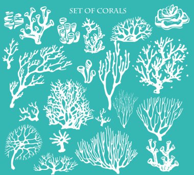 Sualtı mercan resif elemanları seti