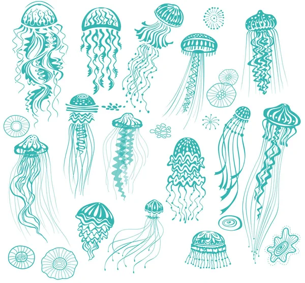 Sada zdobených ručně čeraných medúzy — Stockový vektor