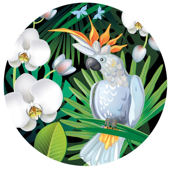 Arrière-plan avec des plantes de jungle tropicale — Image vectorielle