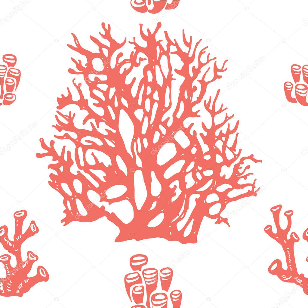 Coral seamless pattern. Living coral