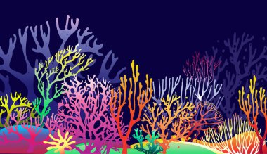 Mercan ile sualtı resif manzarası