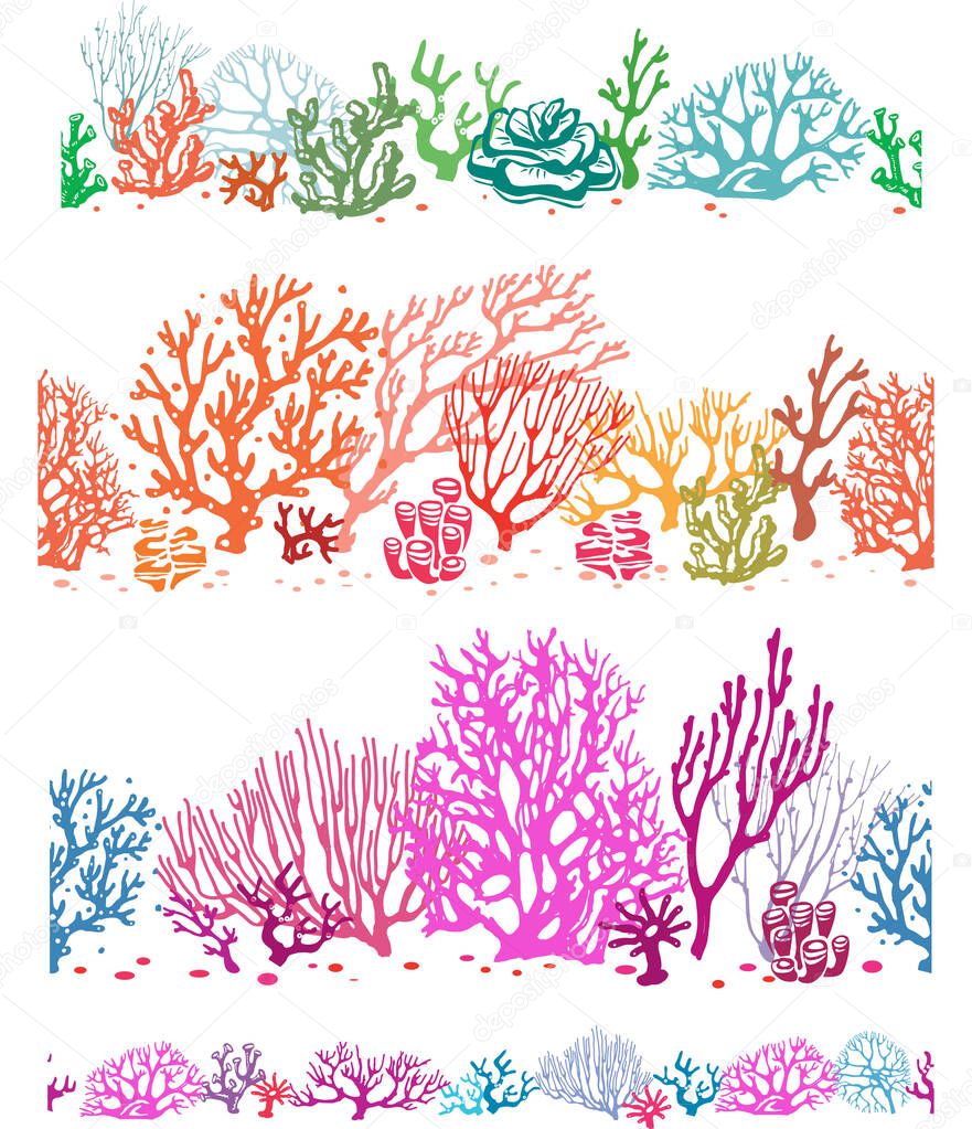 Corals border seamless patterns