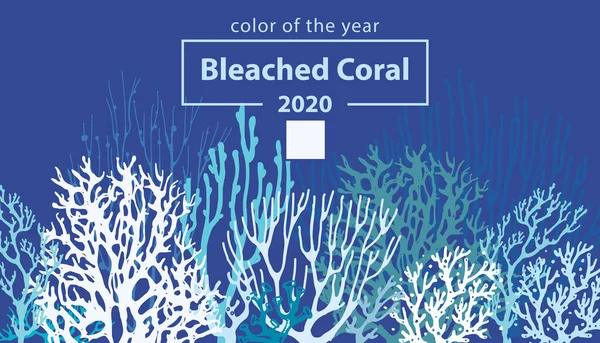 Corail blanchi. Couleur tendance de 2020 — Image vectorielle