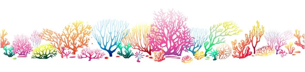 Randmuster mit mehrfarbigen Korallen — Stockvektor
