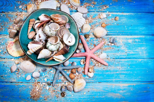 貝殻やヒトデ 貝殻付きのセラミックプレートのトップビュー 夏の創造的なフラットレイアウトの概念 — ストック写真