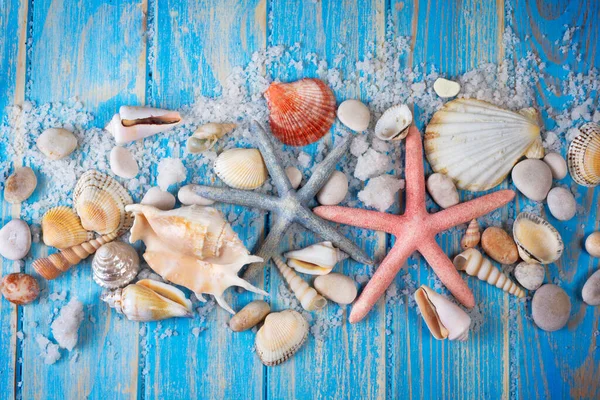 Hintergrund Von Muscheln Und Seesternen Auf Blauen Holzplanken Kreatives Konzept — Stockfoto