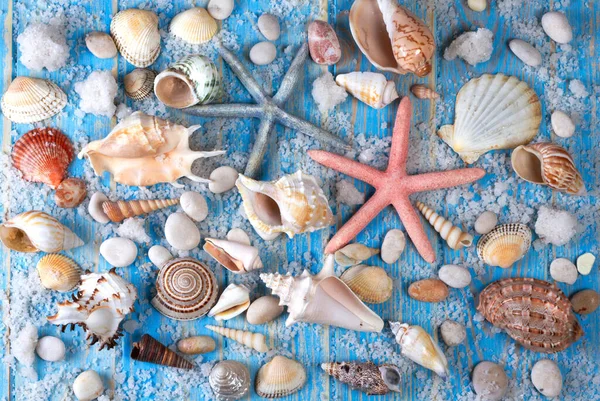 蓝色木板上的海贝和海星的背景 夏季创意扁平的概念 — 图库照片