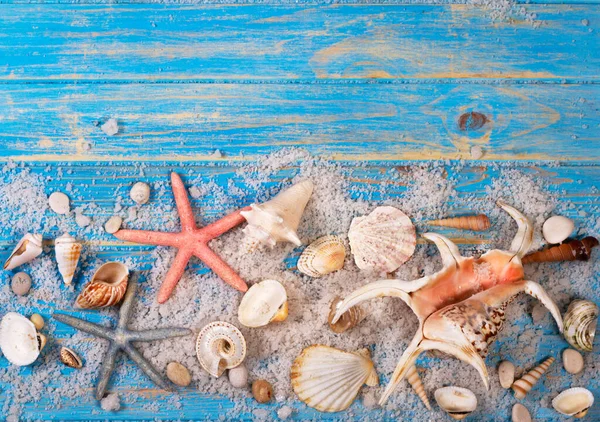 蓝色木板上的海贝和海星的背景 夏季创意扁平的概念 — 图库照片