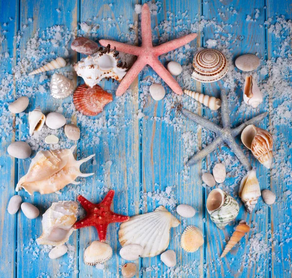 蓝色木板背景上的海贝和海星的圆形框架 夏季创意扁平的概念 — 图库照片