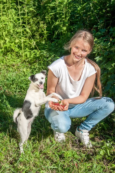 Menina Bonita Feliz Está Brincando Com Cão — Fotografia de Stock