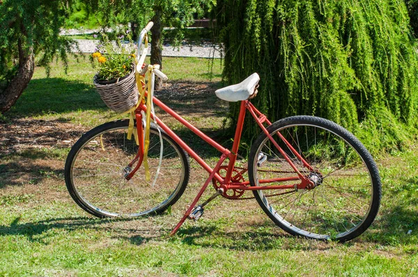 Vintage Dekorativ Röd Cykel Stående Trädgården — Stockfoto
