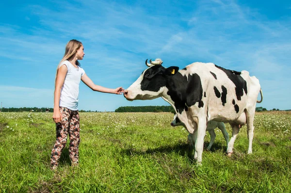 女の子は牧草地でフィールドに牛のケア — ストック写真