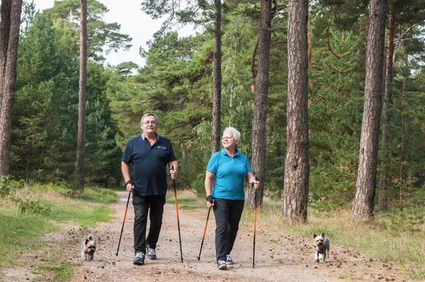 Nordic walking happy senior couple  with dogs in a forest