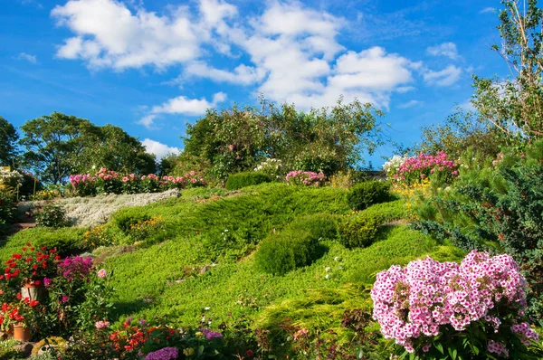 Schöner Blumengarten Mit Blühenden Saisonalen Blumen — Stockfoto