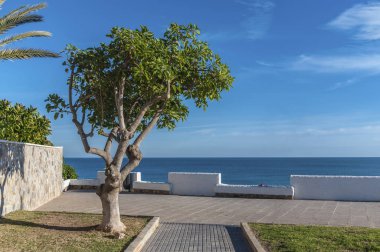 Torrevieja plaj ve mesire. Costa Blanca. İspanya