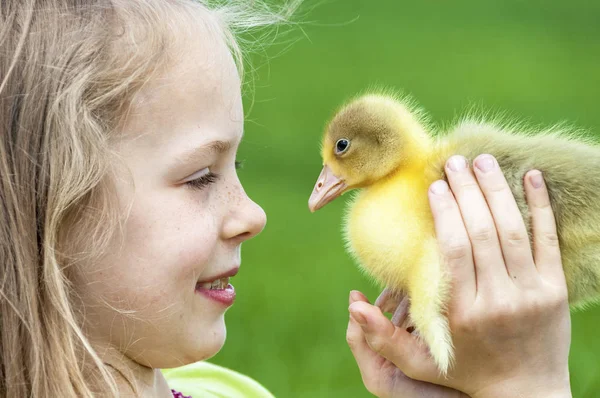 Petite Fille Avec Canard Printemps Volaille Entre Les Mains Enfant — Photo