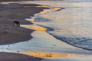 Gün batımında güzel dalgalar. Akdeniz sahil