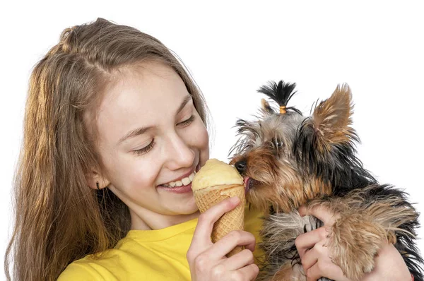 Щенок и девочка едят мороженое — стоковое фото