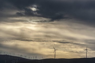 Doğada kavram eko güç enerjisi