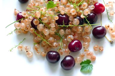 Kiraz ve beyaz kuş üzümü. Fransız üzüm.