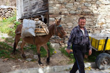 Rodop dağ, Bulgaristan. 26 Ekim 2016 dağlarda insanların yaşam ağırmış. Kendi alanlarında için hiçbir yol ve ormanlar ve onlar at taşıma için esas olarak kullanın.