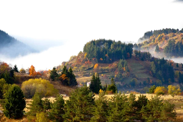 Podzim Regionu Rhodope Mountains Bulharsko Brzy Ráno Hora Pokryta Mlha — Stock fotografie