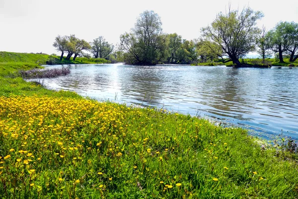 Rivière Aux Eaux Source Luxuriantes Printemps Ensoleillé Lieu Repos Sur — Photo