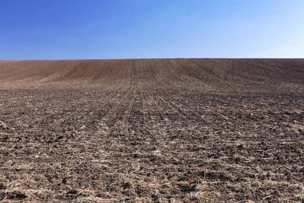 Extensive Farmland Separate Fields Blooming Yellow Rapeseed Arable Land Horizon — Stock Photo, Image