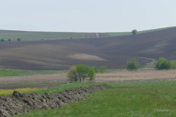 Agricultural Land Treated Spacious Field Plane Ploughing Time Spring — Stock Photo, Image