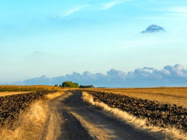 Sonbahar seviyelerinde siyah düz bir yol. Ufukta kaybolmuş. Tarladaki kuru otlar. Yol boyunca sürgülü çizgiler.