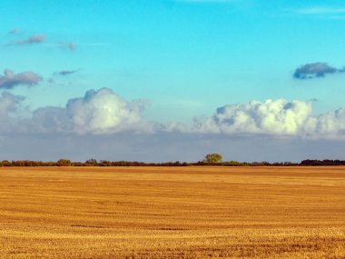 Ovadaki hasattan sonra. Sarı sakal altın gibi parlıyor.