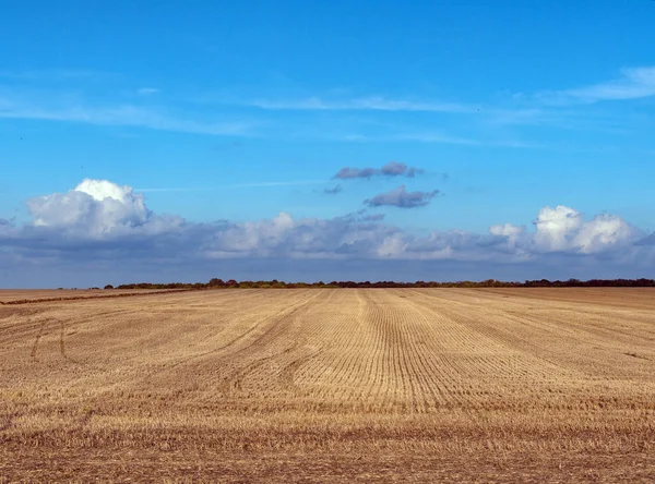 Níveis Agrícolas Semeadura Outono Horizonte Árvores Céu Azul — Fotografia de Stock