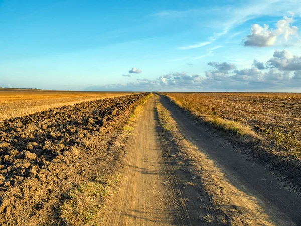 Black straight path through the autumn levels. Lost on the horizon. Dry grasses in the field. Plowed furrows along the road.