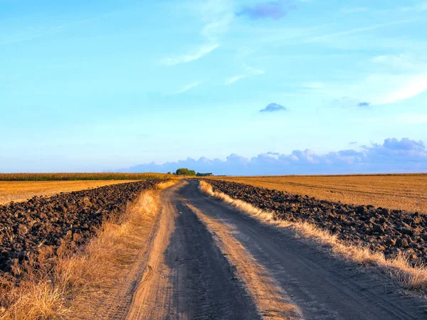 Black straight path through the autumn levels. Lost on the horizon. Dry grasses in the field. Plowed furrows along the road.