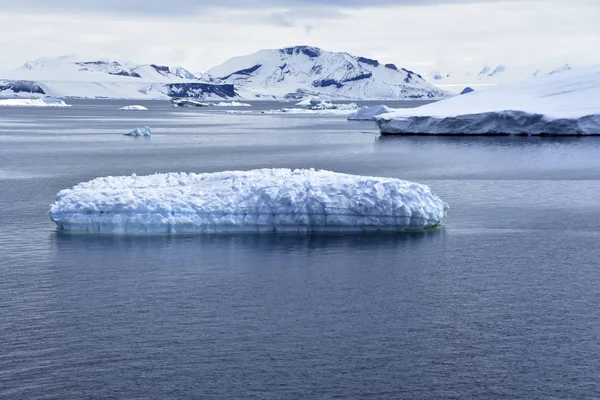 Buz Dağları Okyanus Üzerinde Hisse Senedi Resimleri — Stok fotoğraf