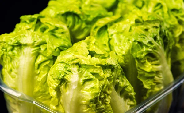 Ensalada verde fresca aislada sobre fondo negro —  Fotos de Stock