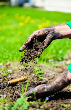 Fide yerdeki toprak hazırlığı bahçıvan eller