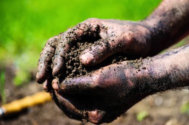 Fide yerdeki toprak hazırlığı bahçıvan eller