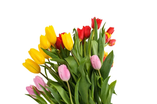 Sada různých barevných tulipat izolovaných na bílém pozadí, SP — Stock fotografie