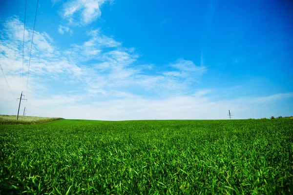 Green meadow under blue sky with clouds — Stock Photo, Image