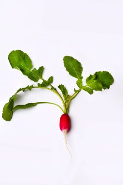 Beyaz arkaplanda kırmızı bahçe turpu izole edilmiş