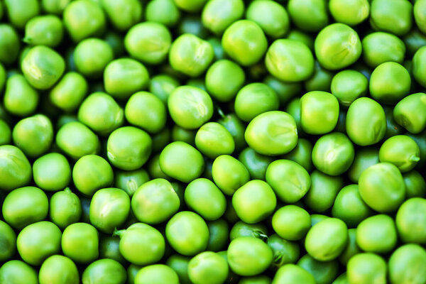 Зеленый горох
