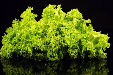 siyah arka plan üzerine izole taze yeşil salata