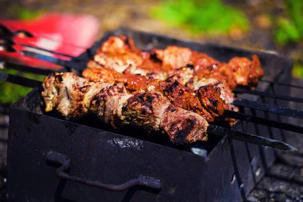 Carne Churrasco Fundo Close — Fotografia de Stock